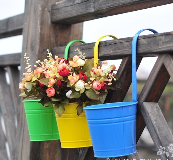 chau hoa treo hang rao